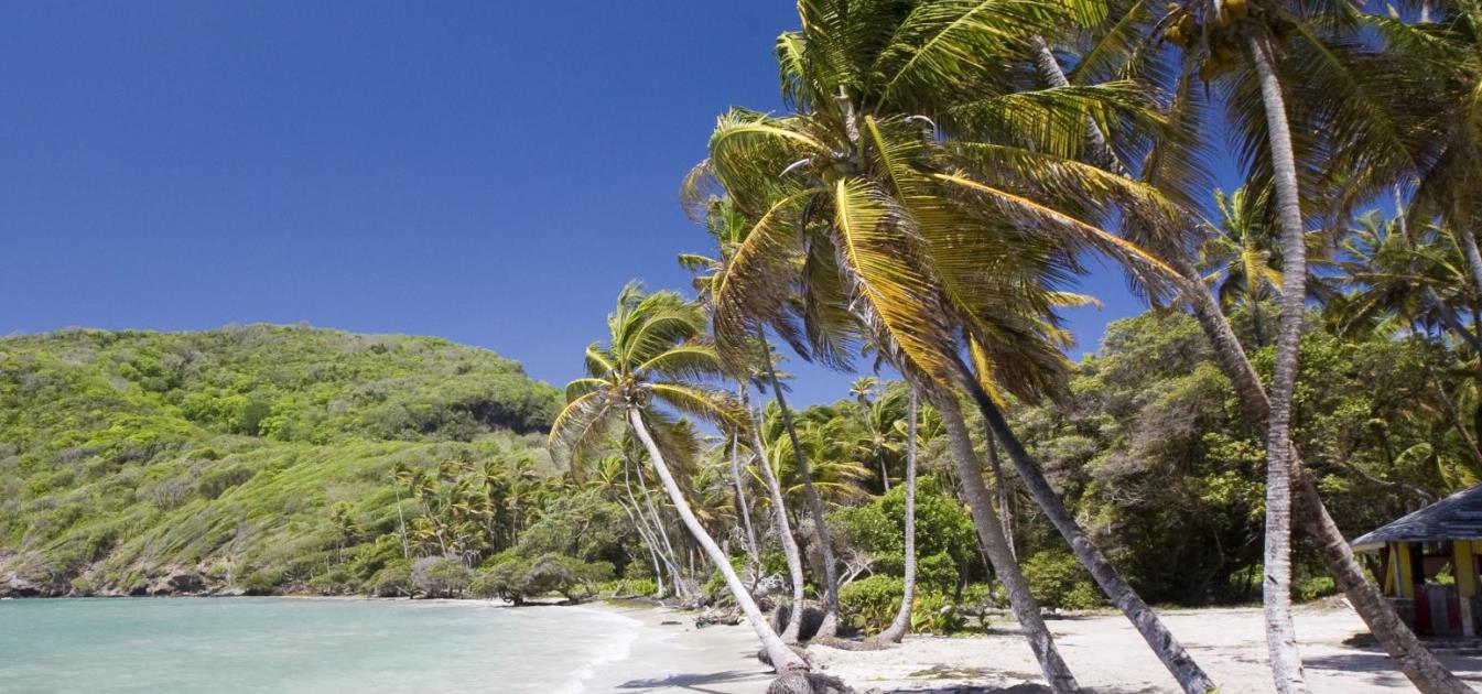 Firefly Beachfront Land Bequia