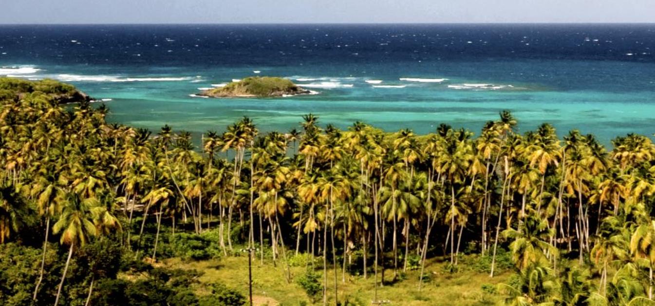 Firefly Beachfront Land Bequia