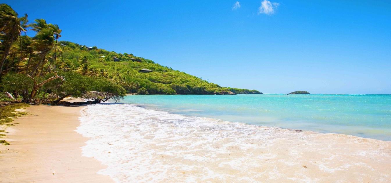 Firefly Beachfront Land Bequia