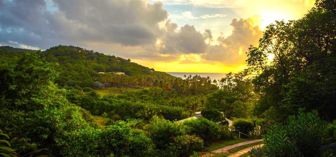 Private Villa Firefly Estate 12.4 Acres