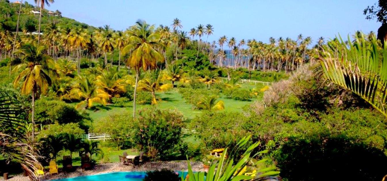 Private Villa Firefly Estate 12.4 Acres