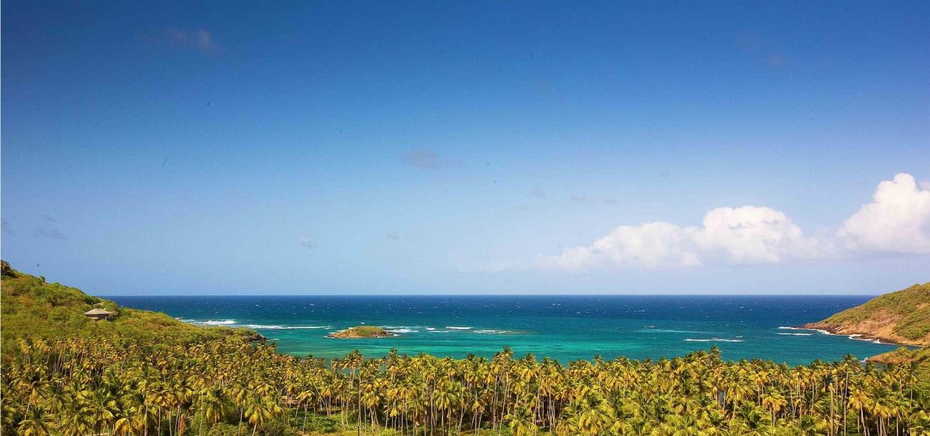 Private Villa Firefly Estate 12.4 Acres