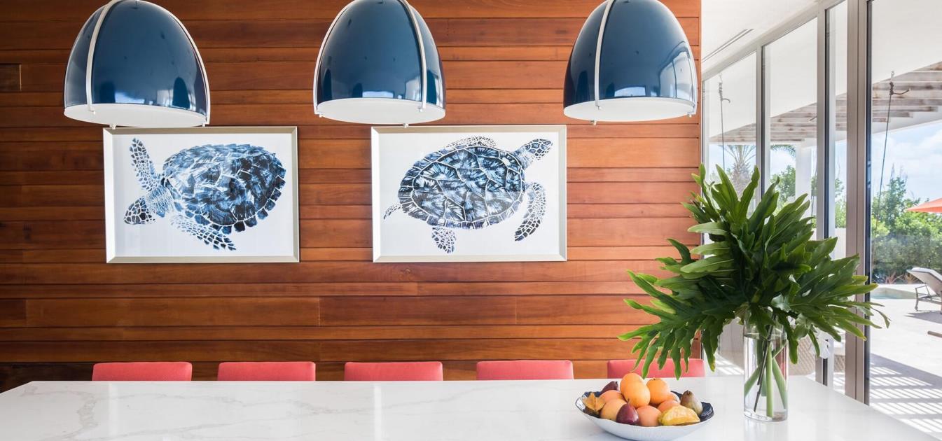 vacation-rentals/anguilla/anguilla/blowing-point/champagne-shores