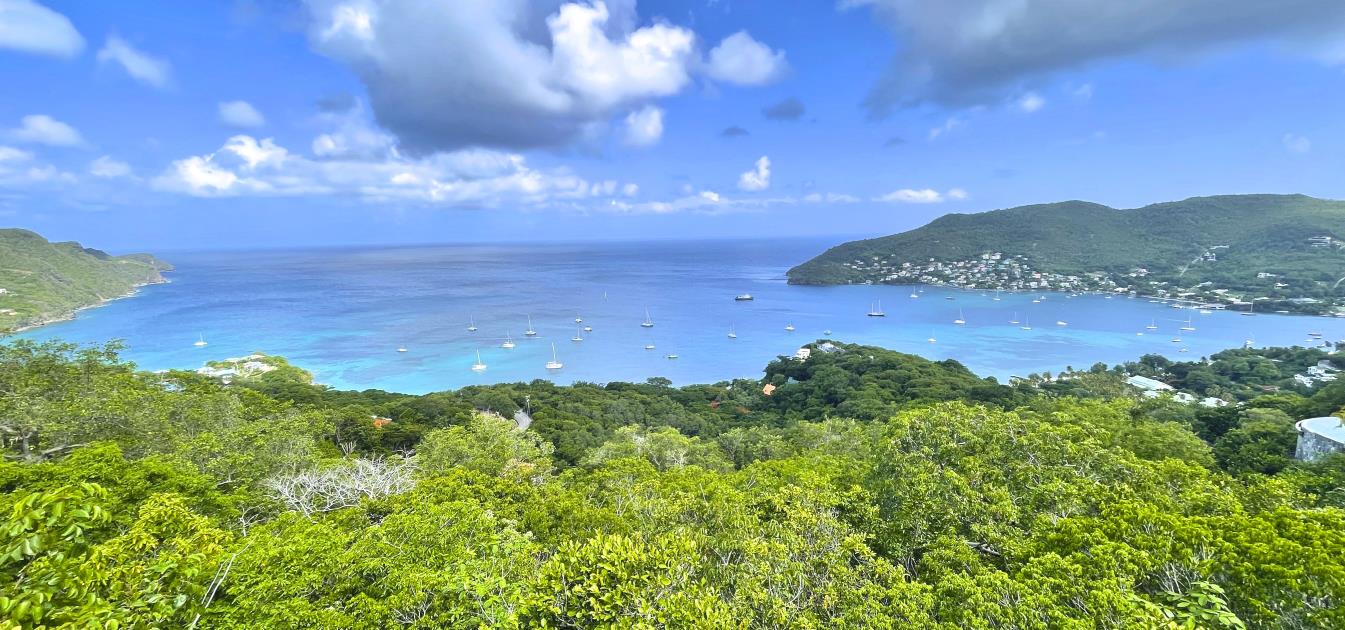 Bequia Estates 2.45 Acres