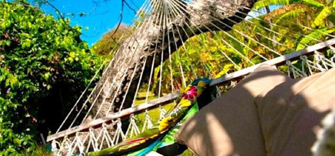 vacation-rentals/st-vincent-and-the-grenadines/bequia/spring/firefly-bequia-plantation-cottage