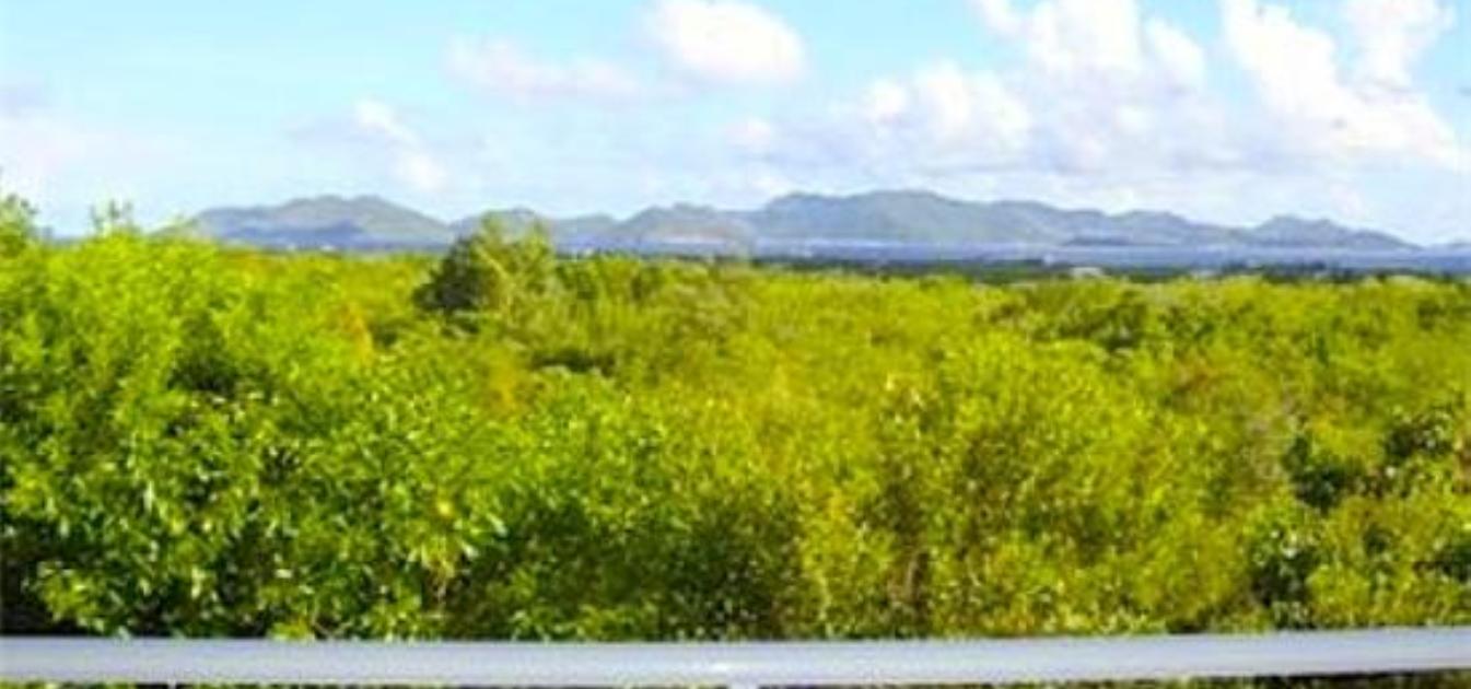 vacation-rentals/anguilla/anguilla/blowing-point/long-term-anguilla-rental-2-bed
