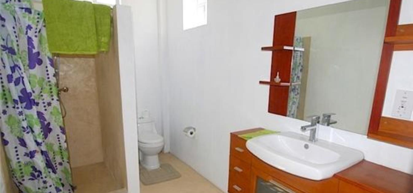 vacation-rentals/st-vincent-and-the-grenadines/bequia/port-elizabeth/grant's-view-apartments