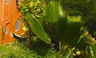 Grant's View Lower Sleeps 4