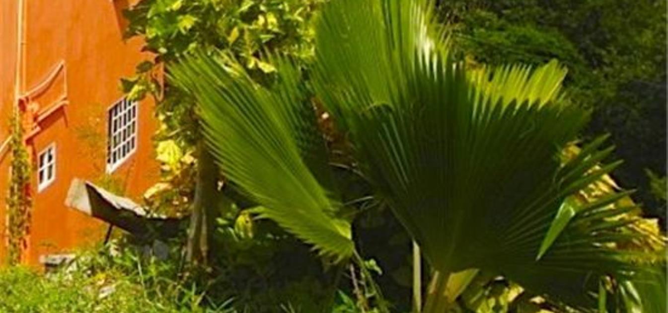 vacation-rentals/st-vincent-and-the-grenadines/bequia/port-elizabeth/grant's-view-lower-sleeps-2