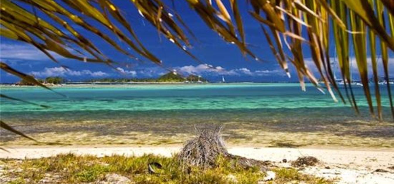 vacation-rentals/st-vincent-and-the-grenadines/union-island/clifton/anchorage-kitebeach-apartment