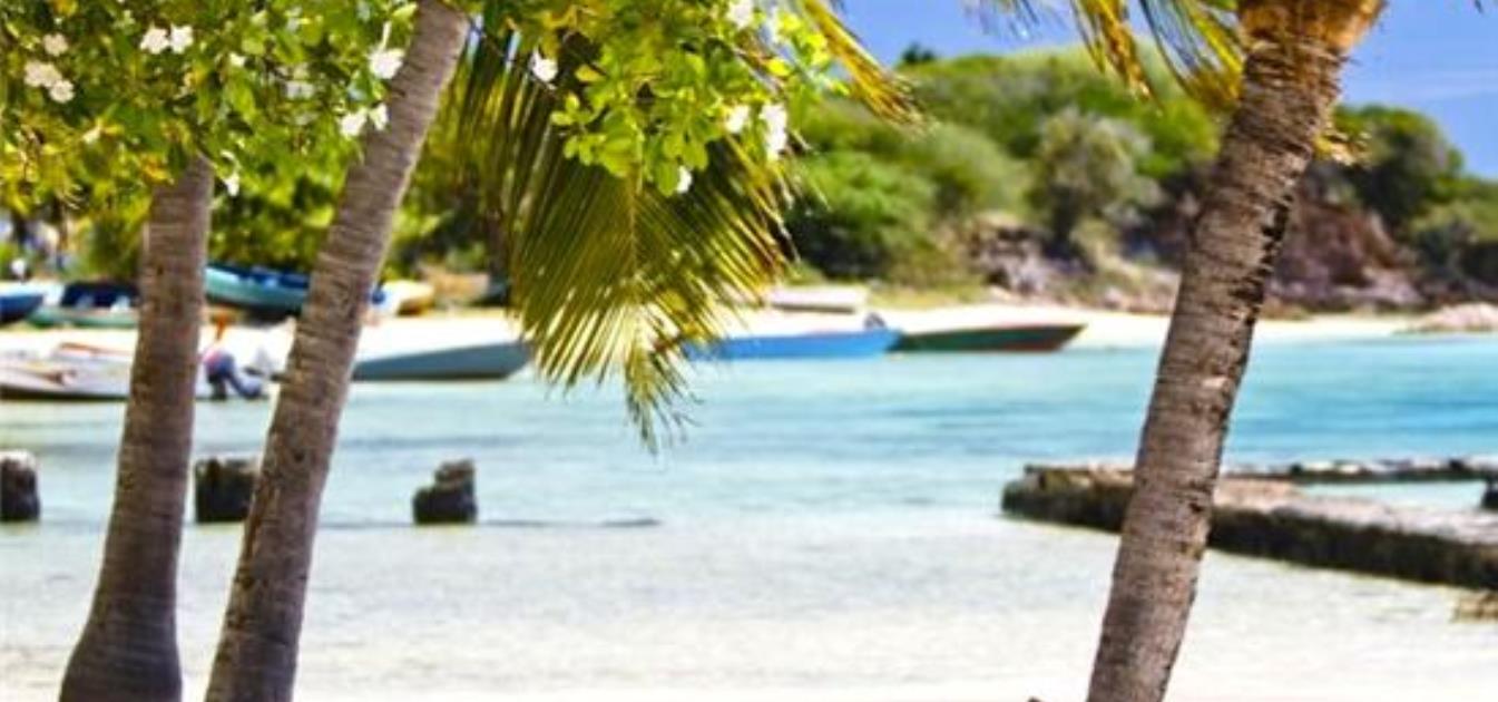 vacation-rentals/st-vincent-and-the-grenadines/union-island/clifton/anchorage-kitebeach-apartment