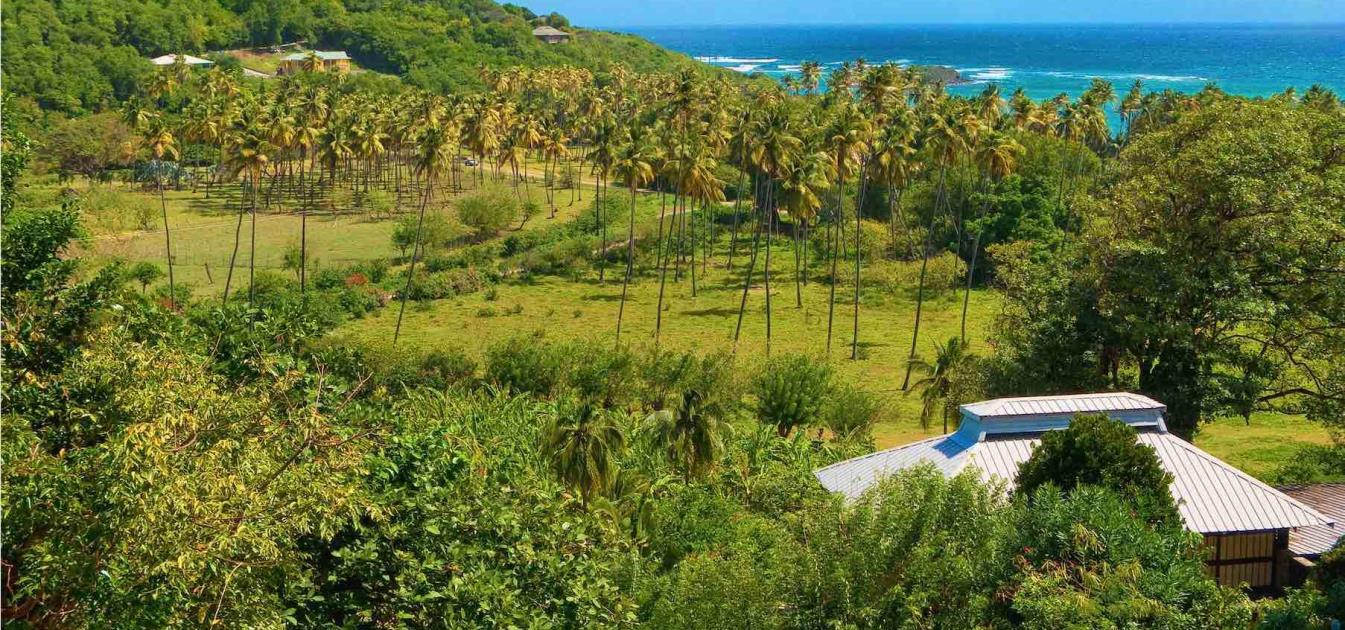 Firefly Hotel and 12.4 Acre Estate Bequia