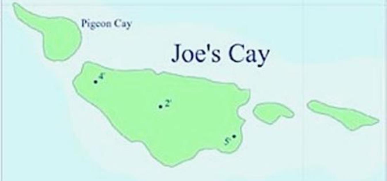 Private Island Joe's Cay
