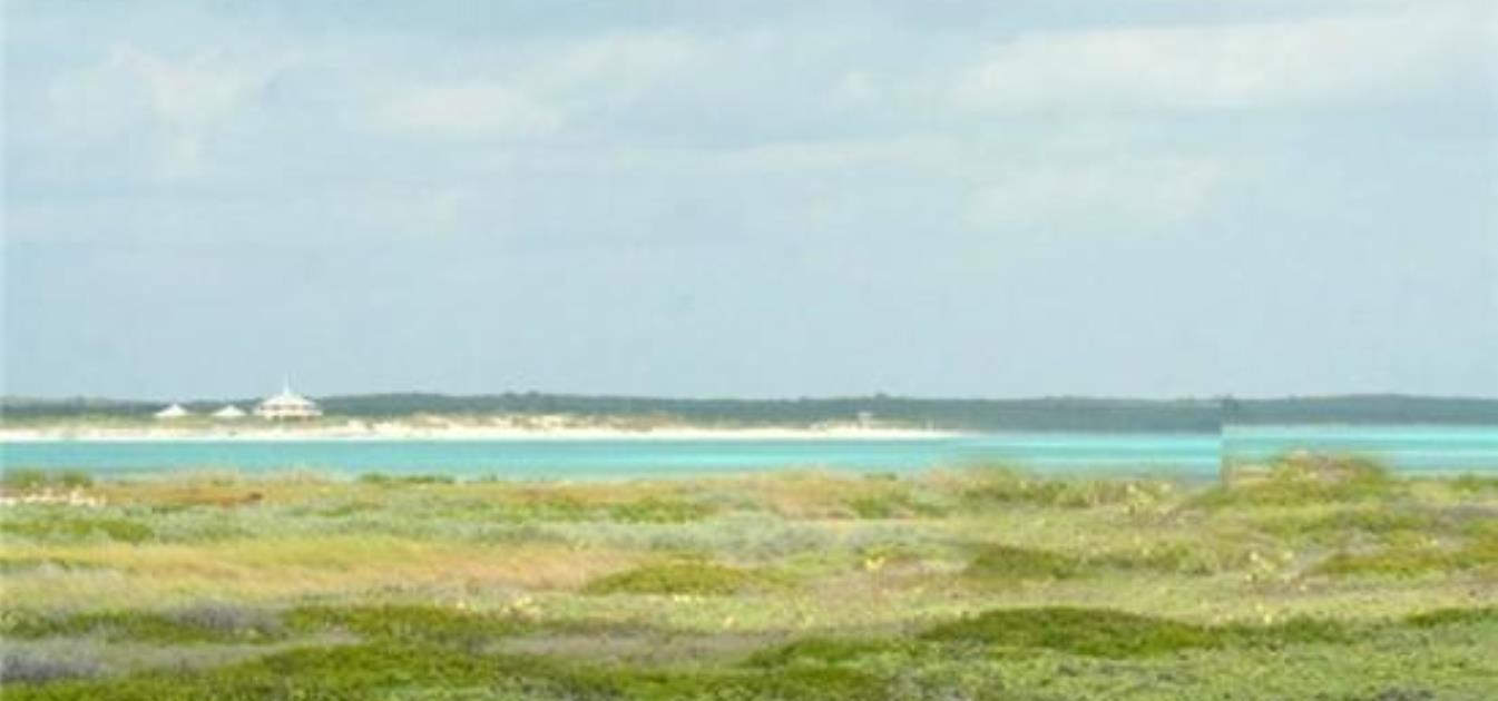 Private Island Low Cay