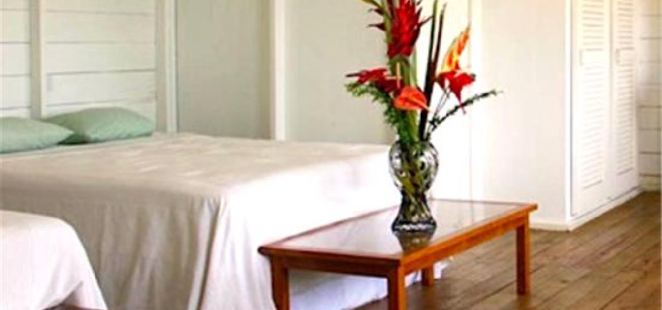 vacation-rentals/st-vincent-and-the-grenadines/st-vincent/blue-lagoon/barefoot-apartment-1-bedroom-sleeps-4