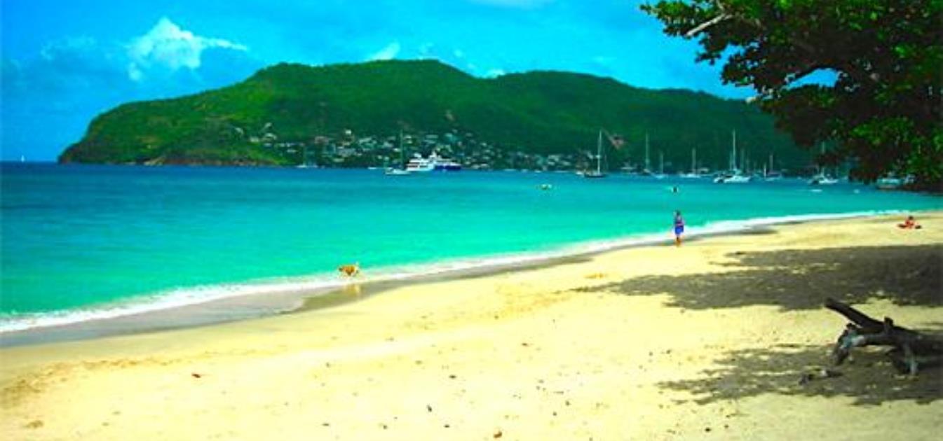 vacation-rentals/st-vincent-and-the-grenadines/bequia/lower-bay/keegan's-apartment-sea-urchin