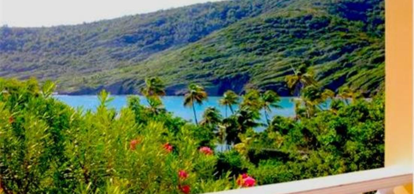 vacation-rentals/st-vincent-and-the-grenadines/bequia/spring/j-and-j-villa