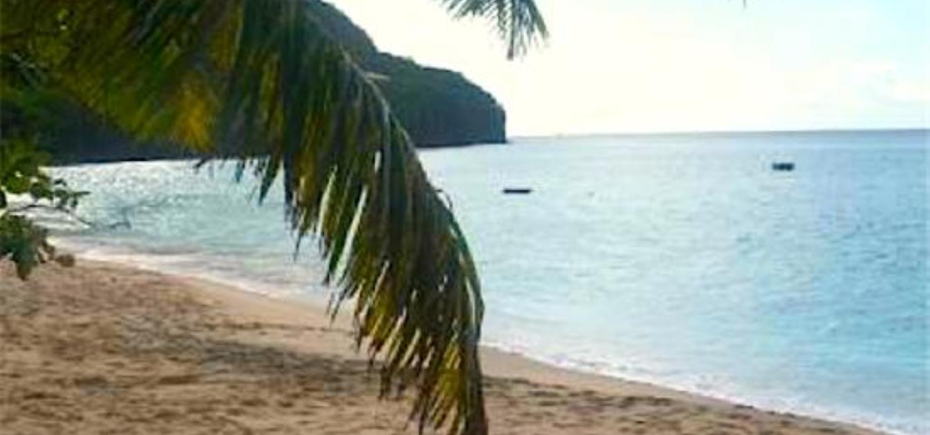 vacation-rentals/st-vincent-and-the-grenadines/bequia/lower-bay/francyn-villa-lower