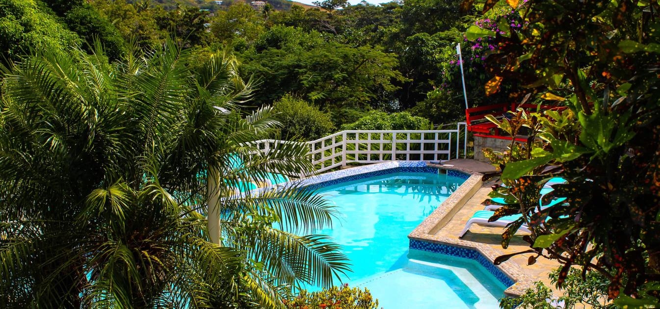 vacation-rentals/st-vincent-and-the-grenadines/bequia/friendship-bay/sugarapple-inn-pool-view