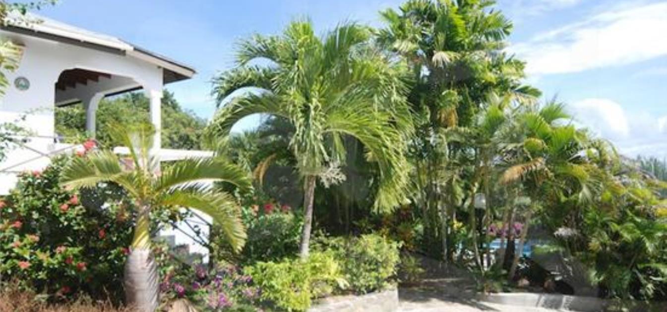vacation-rentals/st-vincent-and-the-grenadines/bequia/spring/lime-cottage