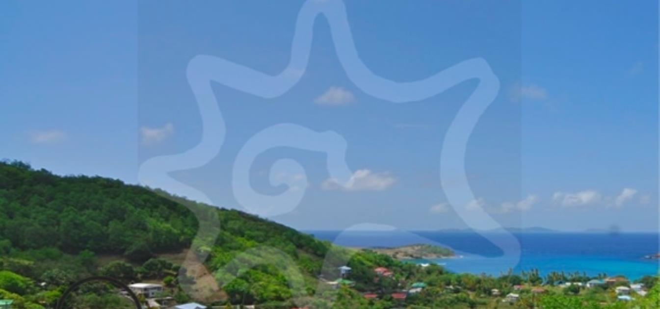 vacation-rentals/st-vincent-and-the-grenadines/bequia/friendship-bay/friendship-side-apartment