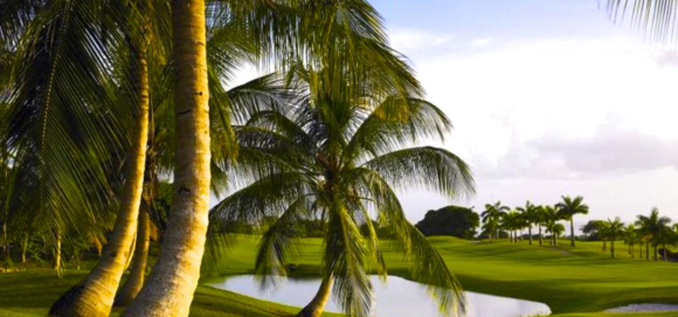 vacation-rentals/barbados/barbados/st-james/mimosa-royal-westmoreland-resort
