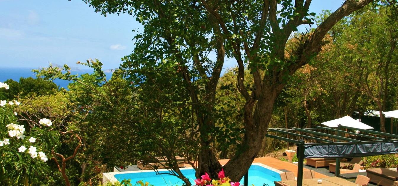 vacation-rentals/st-vincent-and-the-grenadines/bequia/spring/serenity-studio