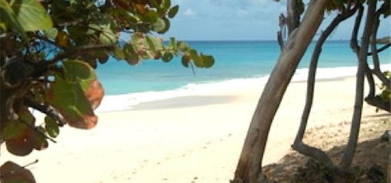 vacation-rentals/anguilla/anguilla/west-end/beach-villa-ella