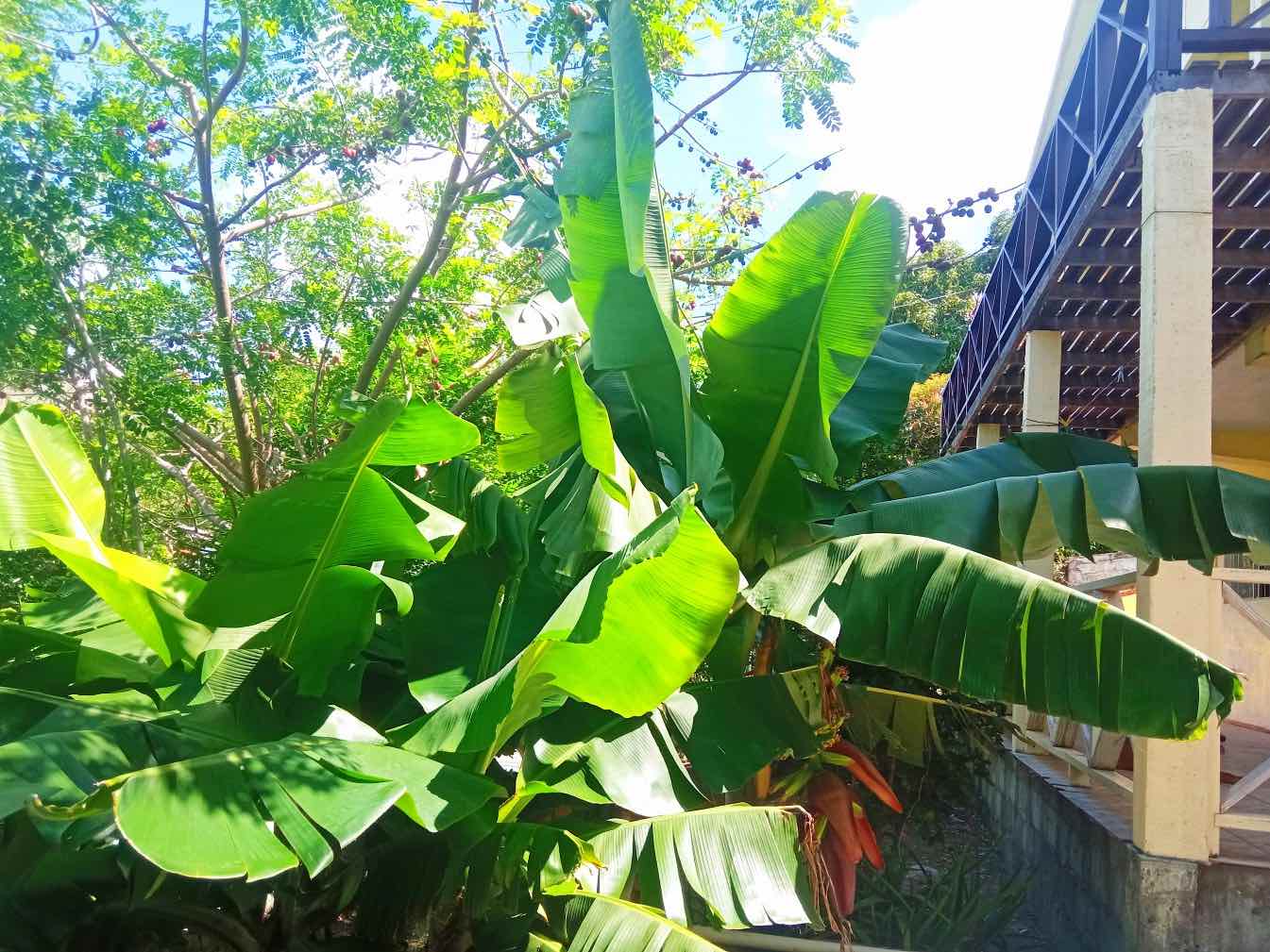 House in Friendship Island Properties for Sale Friendship Bay